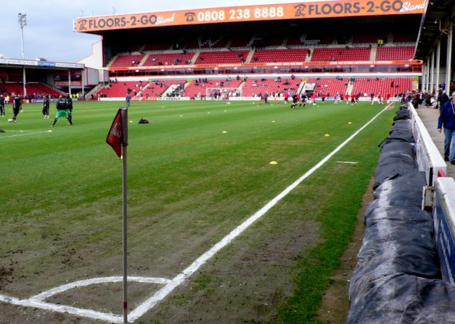 View of the stands