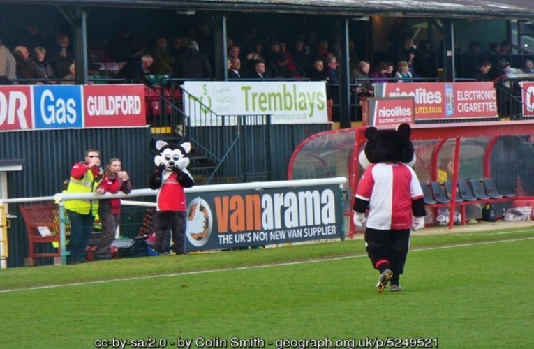 Woking FC Mascots